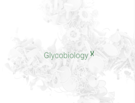 NZYTech Glycobiology_new.png